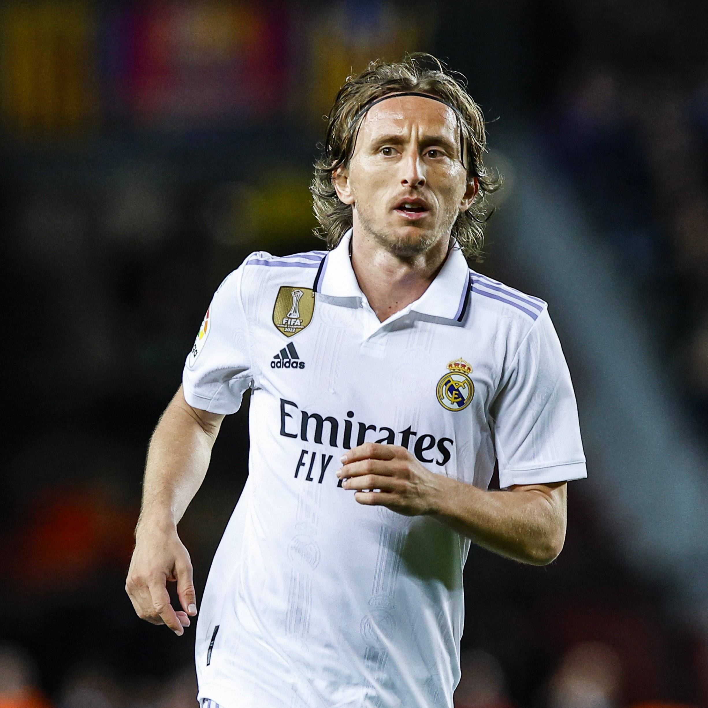 博主：广岛三箭主帅斯基伯目前并不存在去山东泰山的可能性